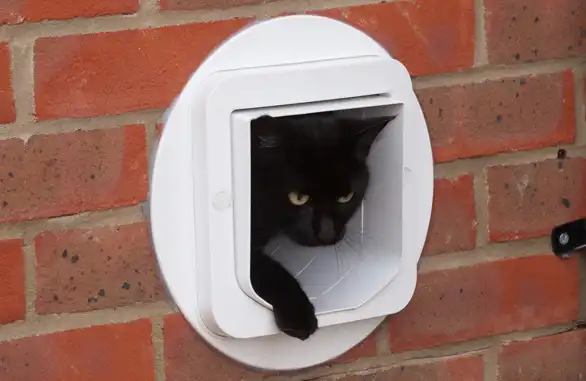 SURE FLAP Адаптер установочный для Cat Flap White