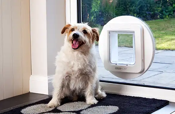 SURE FLAP Адаптер установочный для Pet Door White
