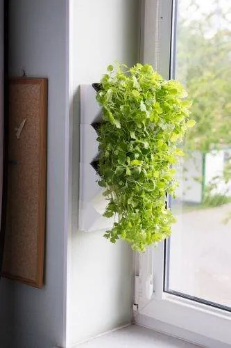 AQUAEL Modul de perete VERSA GARDEN HERBS Alb