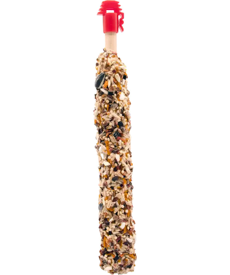 STICKS BIG Papagali cu Mango și Măceșe 140g