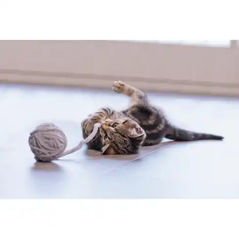 BEEZTEES кошачая игрушка-клубок ISAR Grey