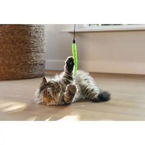 Jucărie undiță pentru pisici NOVI Assotr.