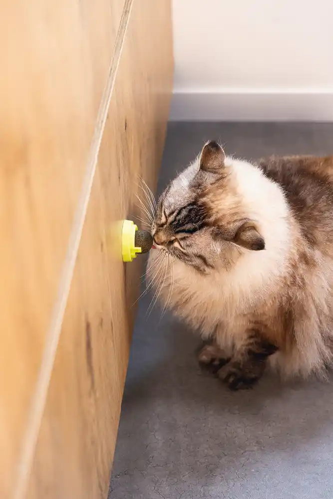 BZ игрушка для кошек CATNIP BALLS JUMZ 3pcs