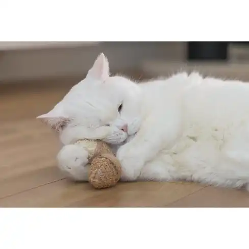 Jucarie pentru pisici CATNIP Oat Nut TERRY