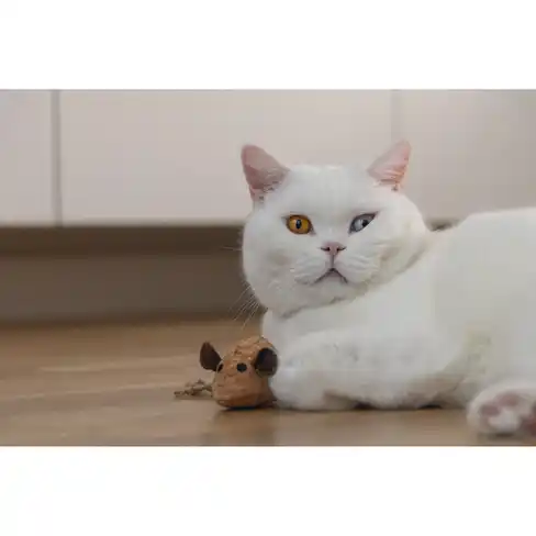 BEEZTEES игрушка для кошек CATNIP Cork Mouse REINIE