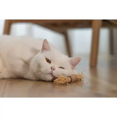 BEEZTEES игрушка для кошек Matatabi Stick STROVY