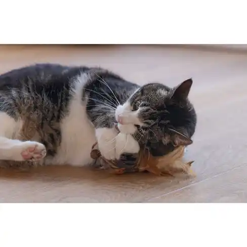 BEEZTEES jucărie pentru pisici Catnip Matatabi Ball with Feather TIPY