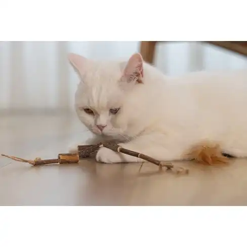 BZ jucarie pentru pisici Matatabi String Mika