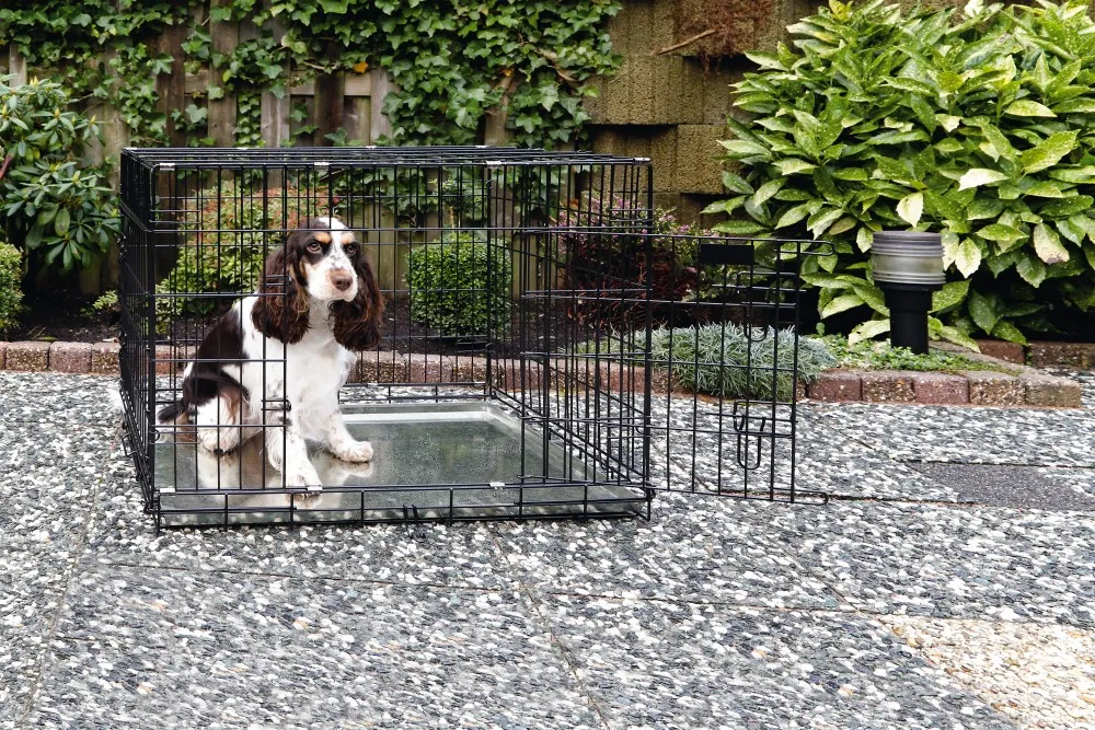 BEEZTEES Cușcă pentru câini DOG BENCH 2-DOORS Black 89x60x66cm