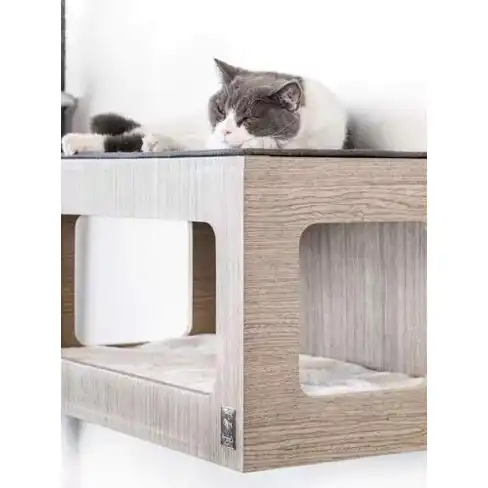 PR Wall of Rebels Box 60 Old Grey