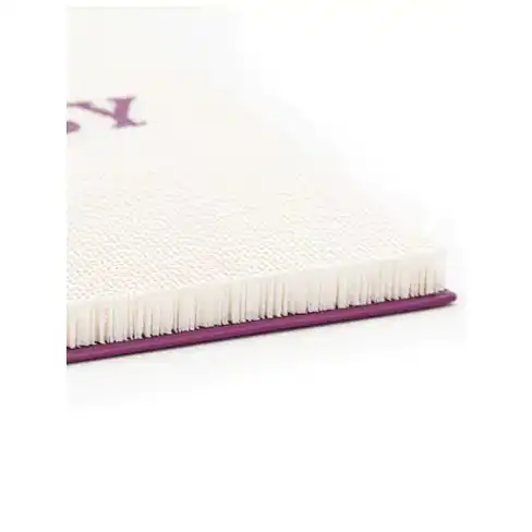 PR Scratch'n Rebels The Rebels Guide Purple