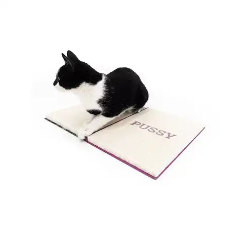 PR Scratch'n Rebels The Rebels Guide Purple