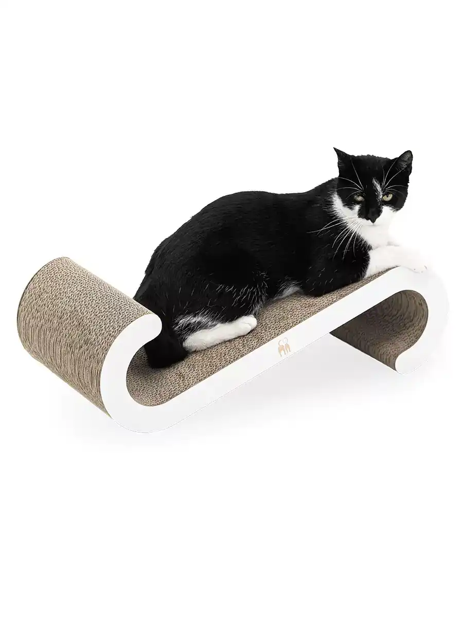 PR Scratch'n Rebels Bella 60