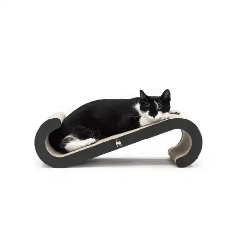 PR Scratch'n Rebels Bella 60