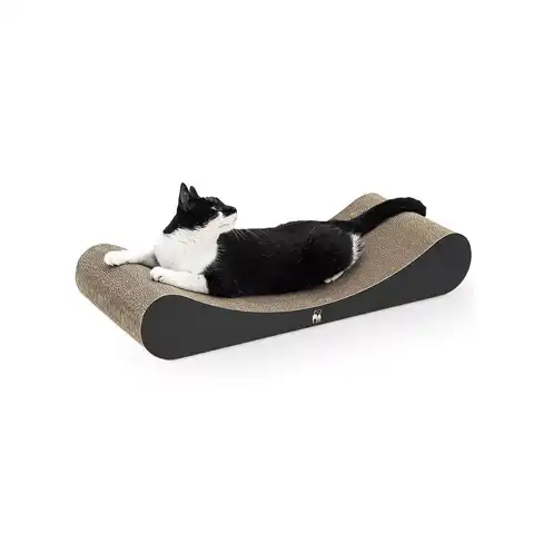 PR Scratch'n Rebels Lily 75