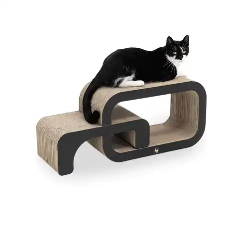 PR Scratch'n Rebels Max 55