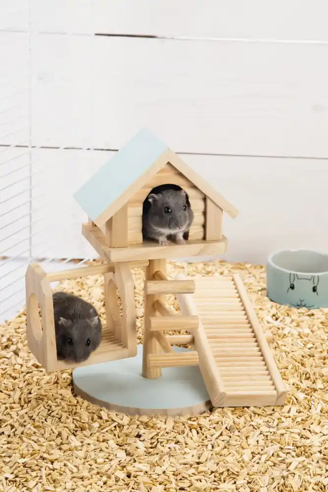 Căsuță pentru rozătoare Beeztees LOVY Mint 21cm