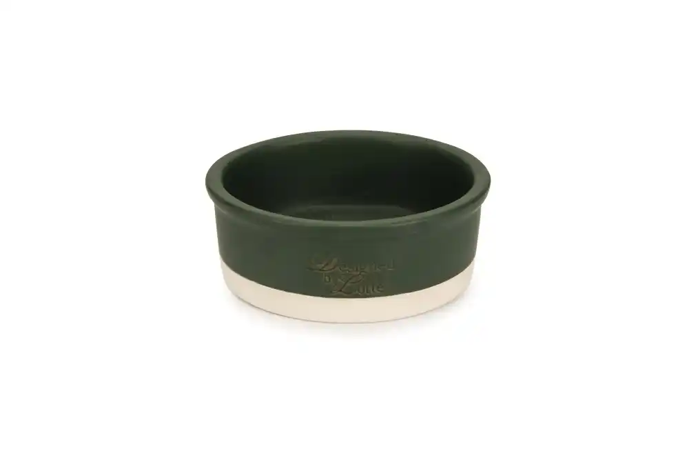 Bol ceramic DBL JOA Dog Verde