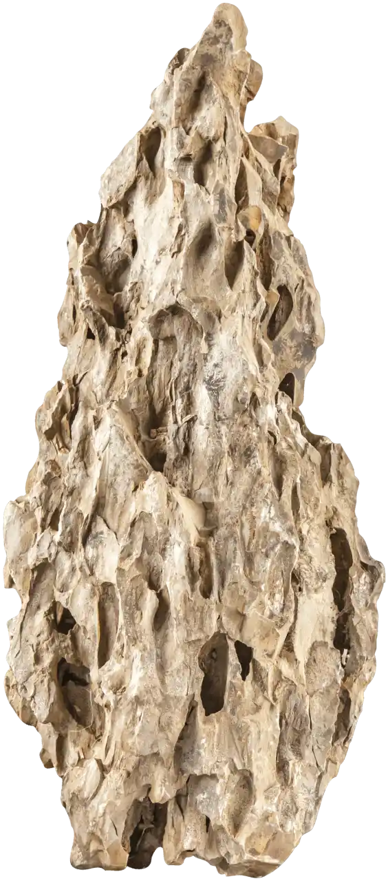 Piatra Dragonului de Stâncă Sera