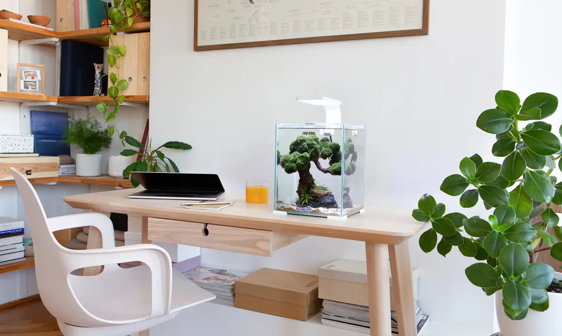 Aquael Acvariu SET SHRIMP SMART D&N 20 Negru