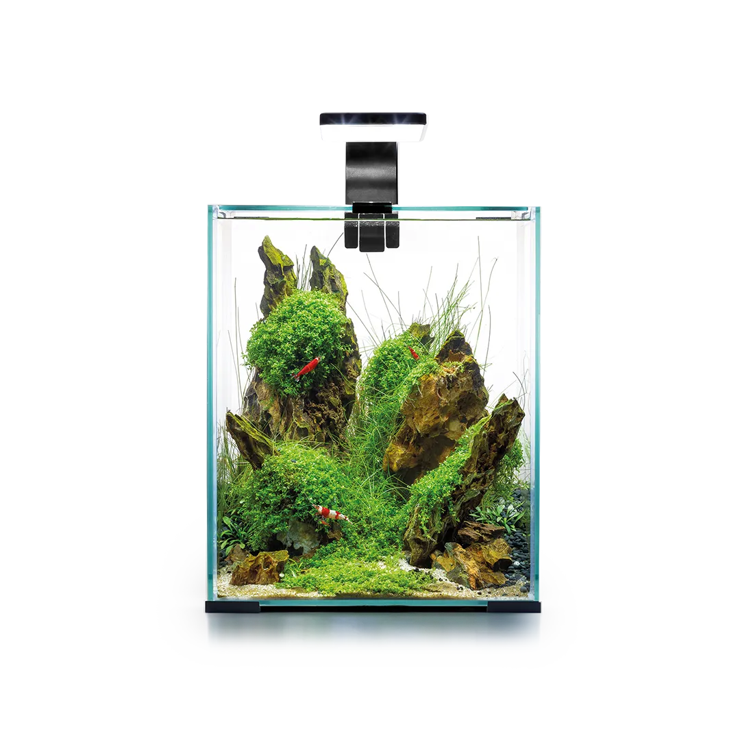 Aquael Aquarium SHRIMP SET SMART D&N 20 Alb