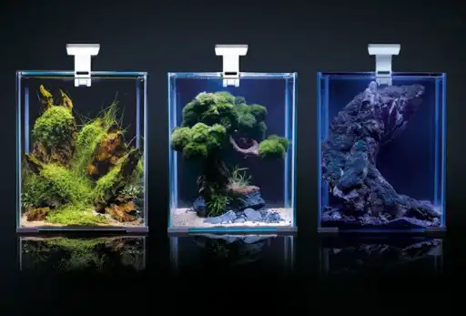 Set acvariu Aquael pentru creveți Smart D&N 30 Alb