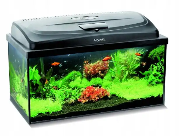 Aquael Аквариум CLASSIC BOX 80 PAP