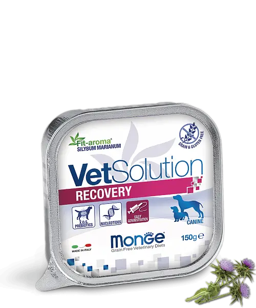 MONGE VETSOLUTION DOG RECOVERY 150gr.