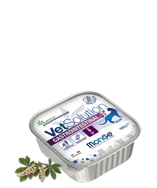 MONGE VETSOLUTION CAT GASTROINTESTINAL 100gr.