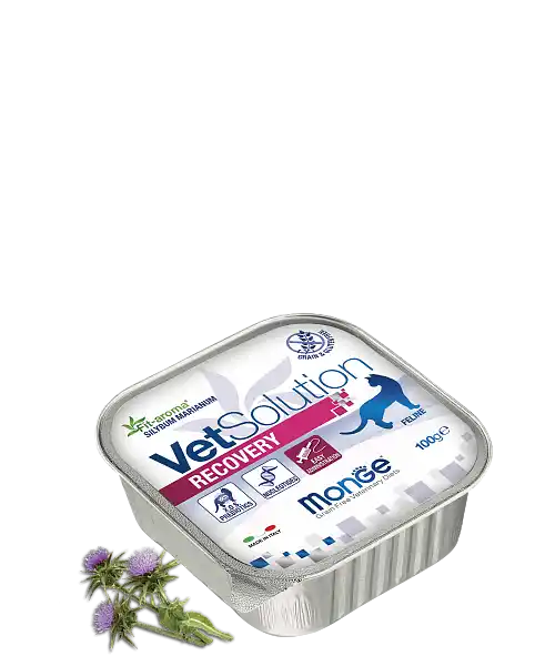 MONGE VETSOLUTION CAT RECOVERY 100gr.