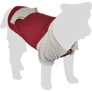 Купить  Одежда для собак - Flamingo Свитер SWEATER BILLY 30cm..