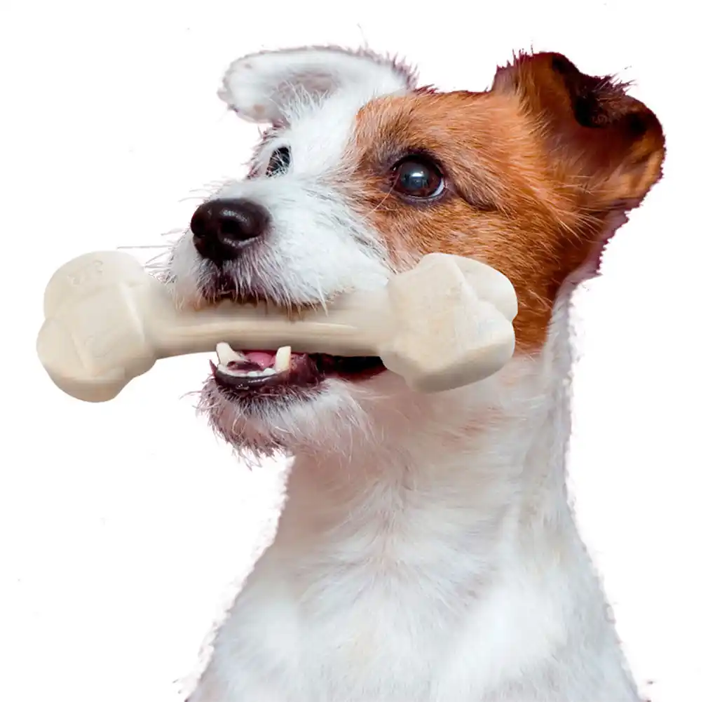 Игрушка GOODB NAT CHICKEN BONE L 140g