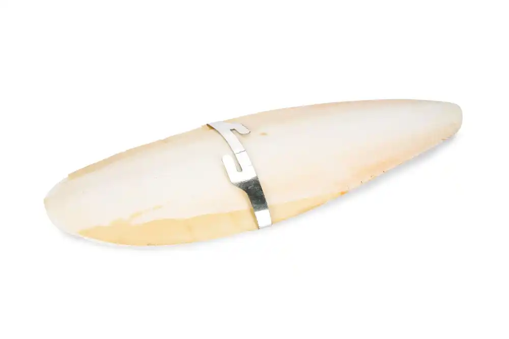 Beeztees Mineral pentru păsări SEPIA Mare 20cm