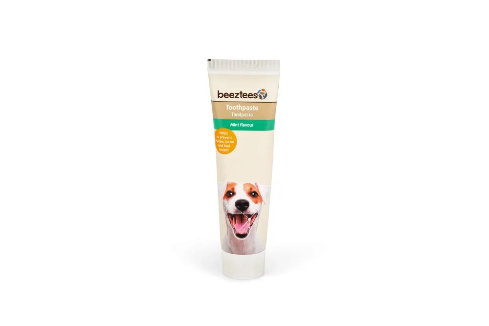 BEEZTEES pastă de dinți TOOTHPASTE MINT FLAVOUR 100G