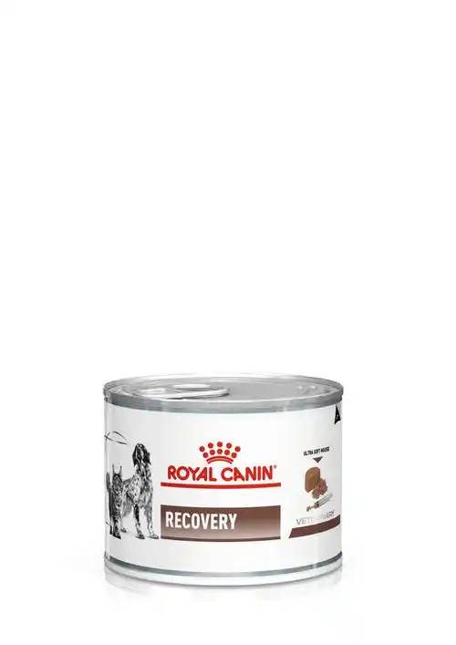 ROYAL CANIN RECOVERY 195g
