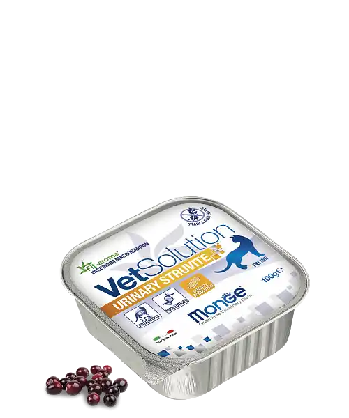 MONGE VETSOLUTION CAT URINARY STRUVITE 100gr.