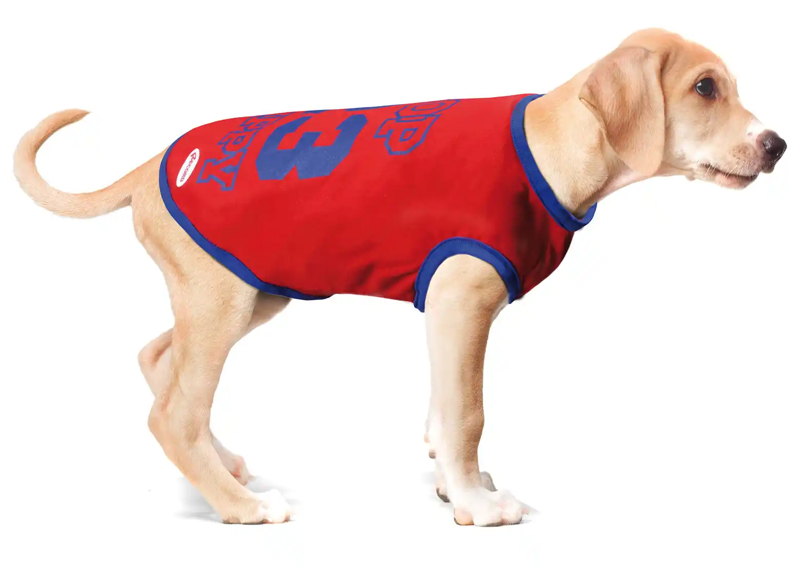 Record Майка MAGLIETTA SPORTDOG S 35cm