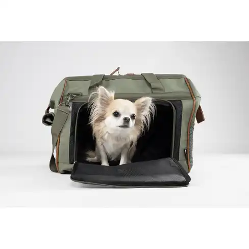 Geantă de transport Hannah Green