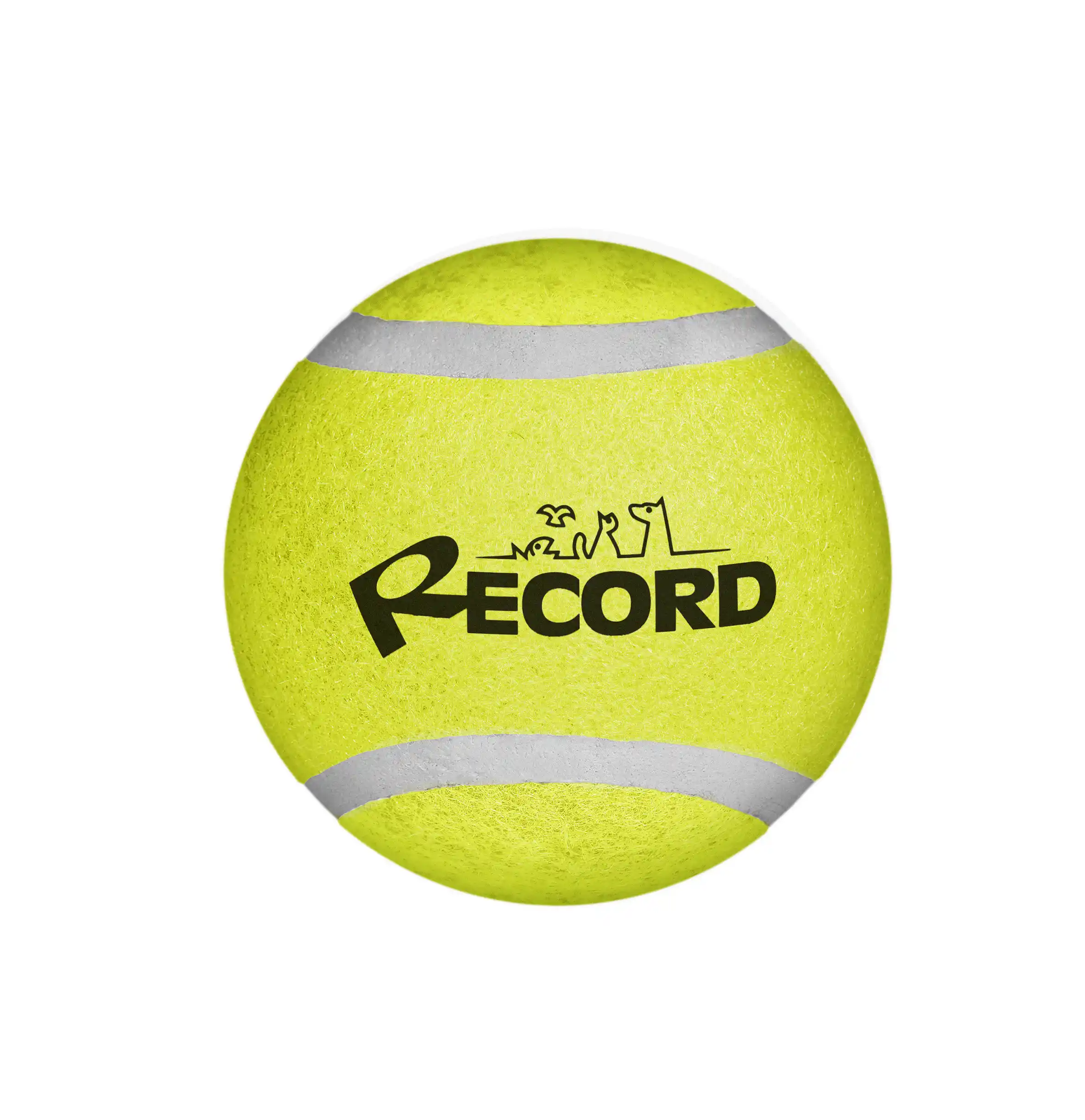 Record Мяч теннисный TENNIS FUN 5cm