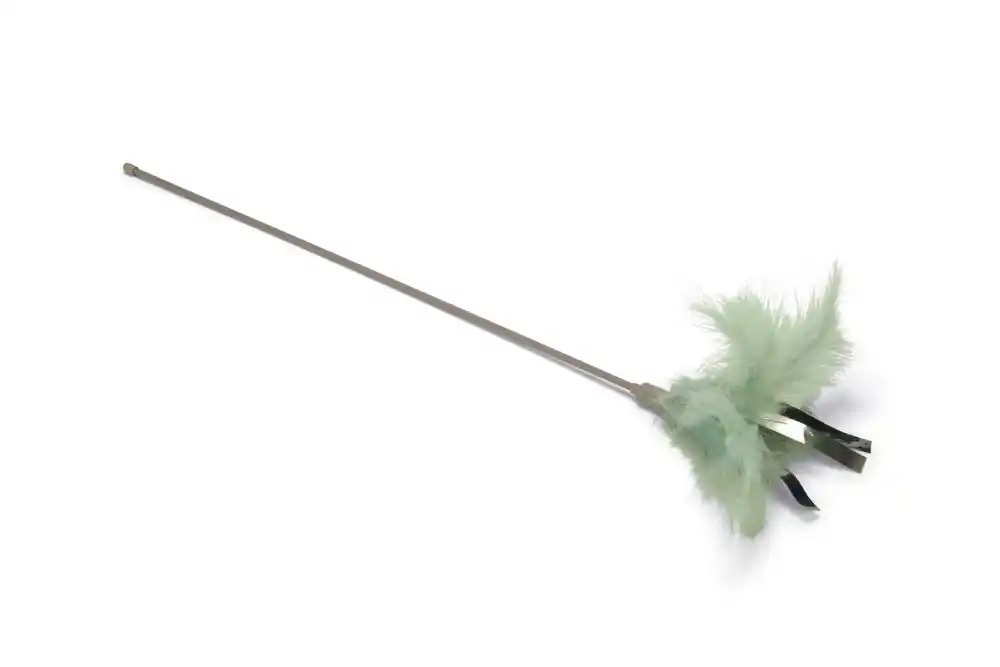 BEEZTEES игрушка-удочка с перьями ORRY Green