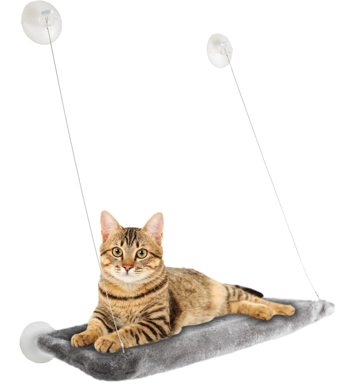 Cumpara  Accesorii - Hamac pentru pisici Chill Rectangle..