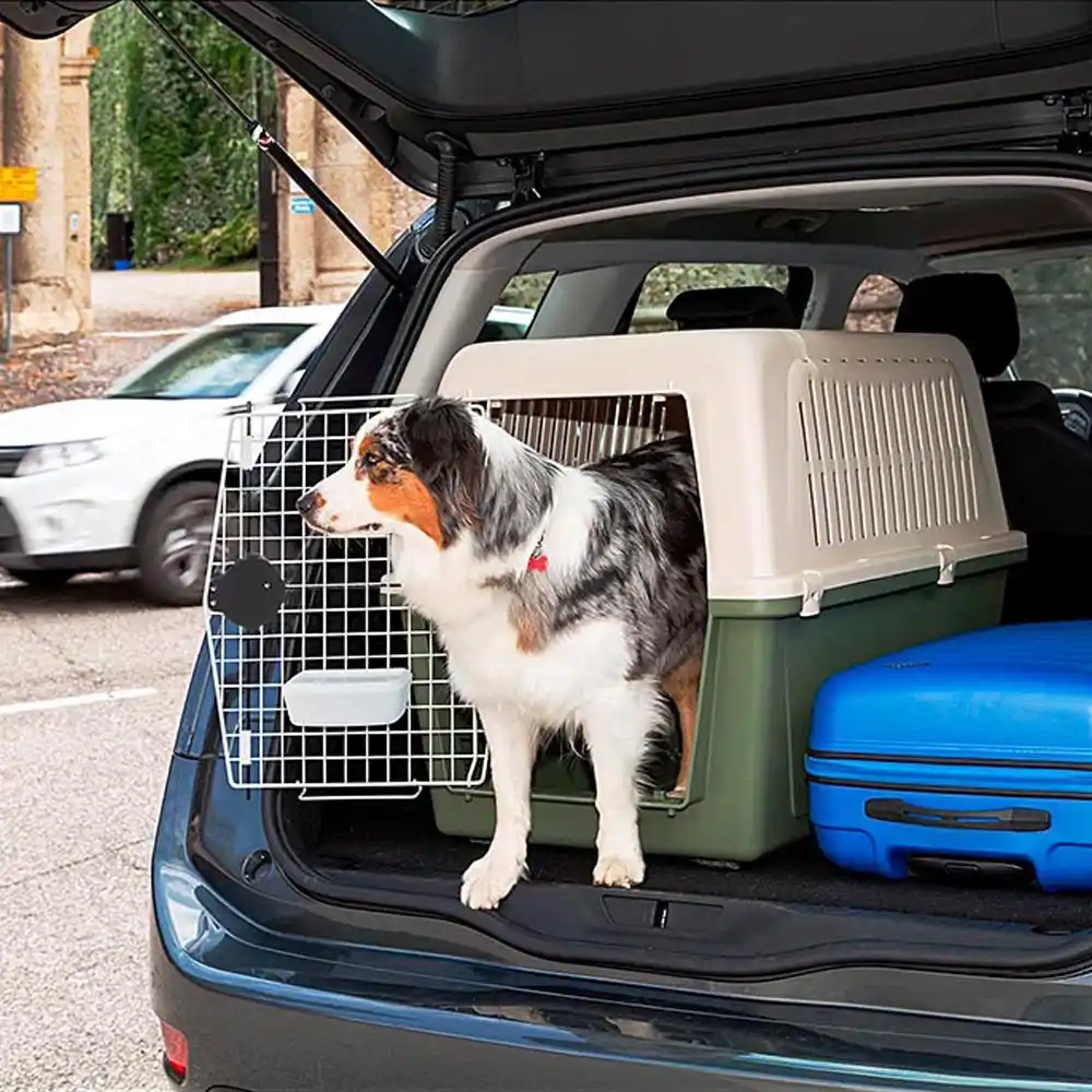 Ferplast Carrier ATLAS 60 CLASSIC