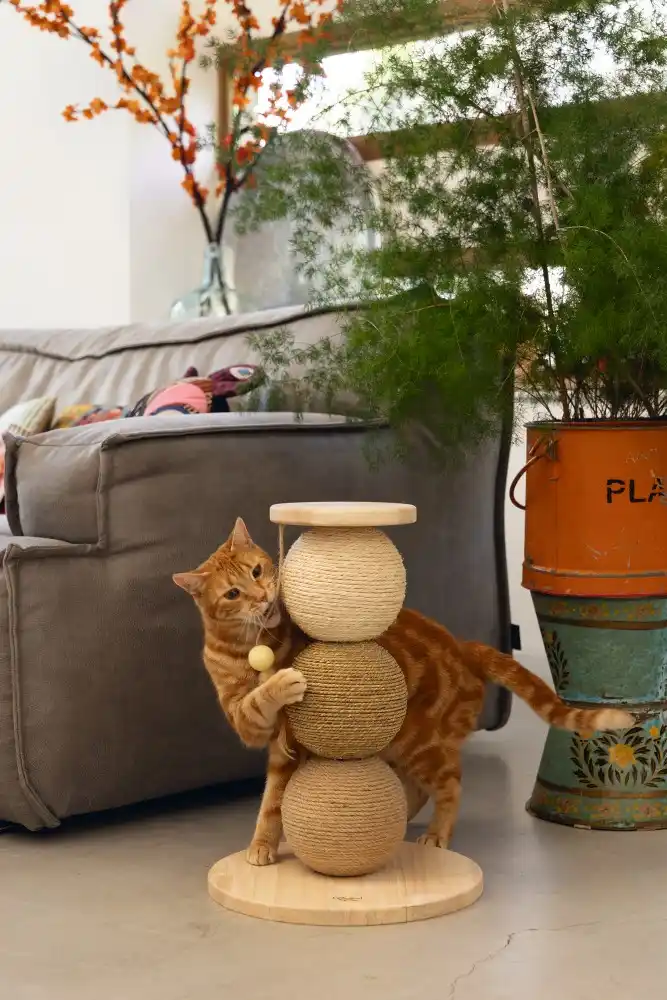 Beeztees Cat Scrubber GLOBES ELIO