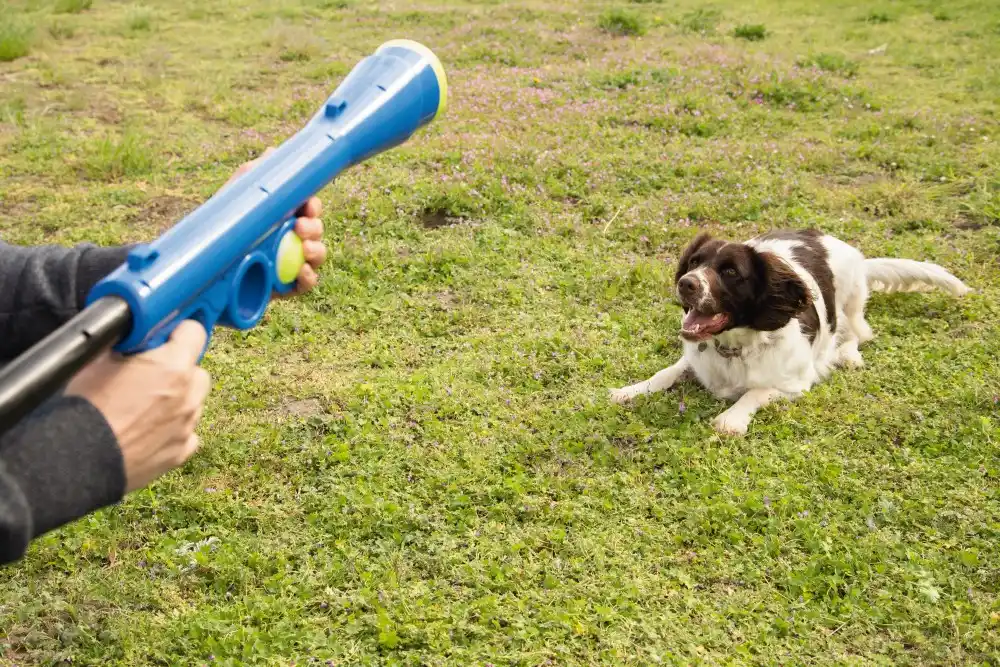 BEEZTEES шутер с теннис. мячами FETCH BALL SHOOTER Blue