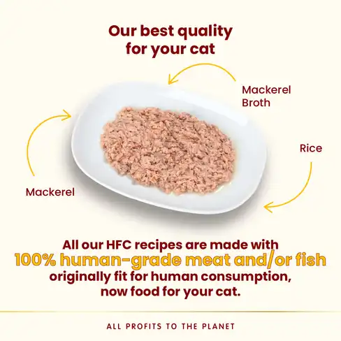 ALMO NATURE CAT HFC Highly Appetizing Mackerel