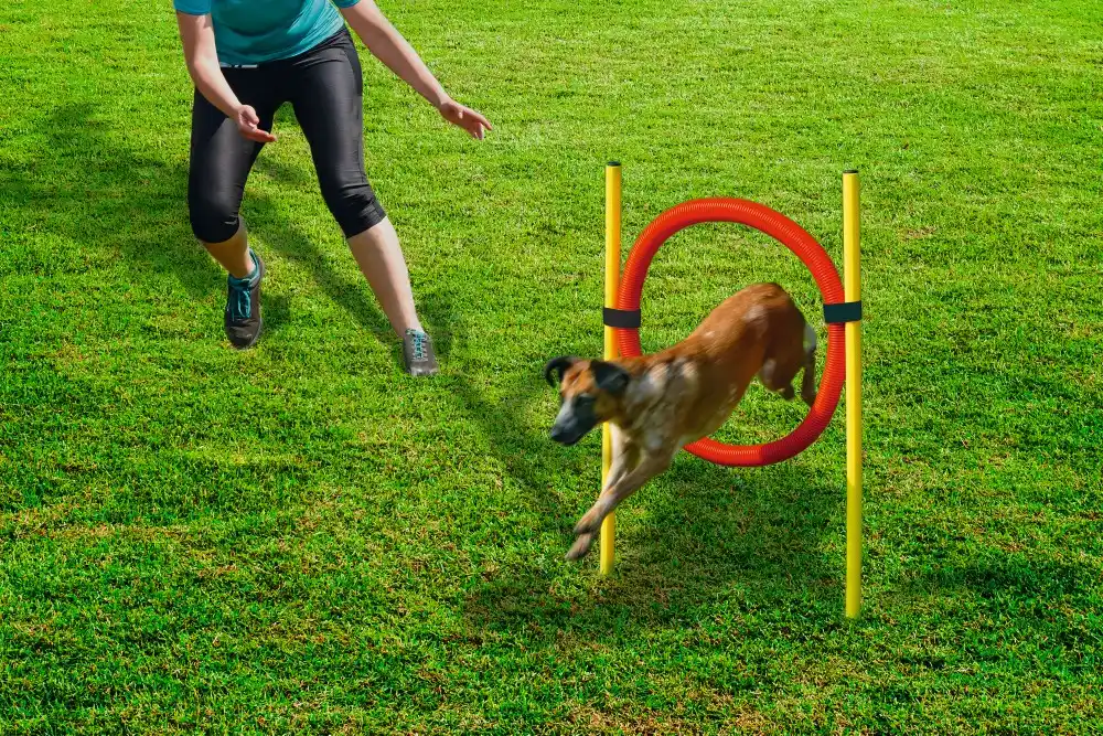 BEEZTEES обруч спортивный AGILITY HOOP SET