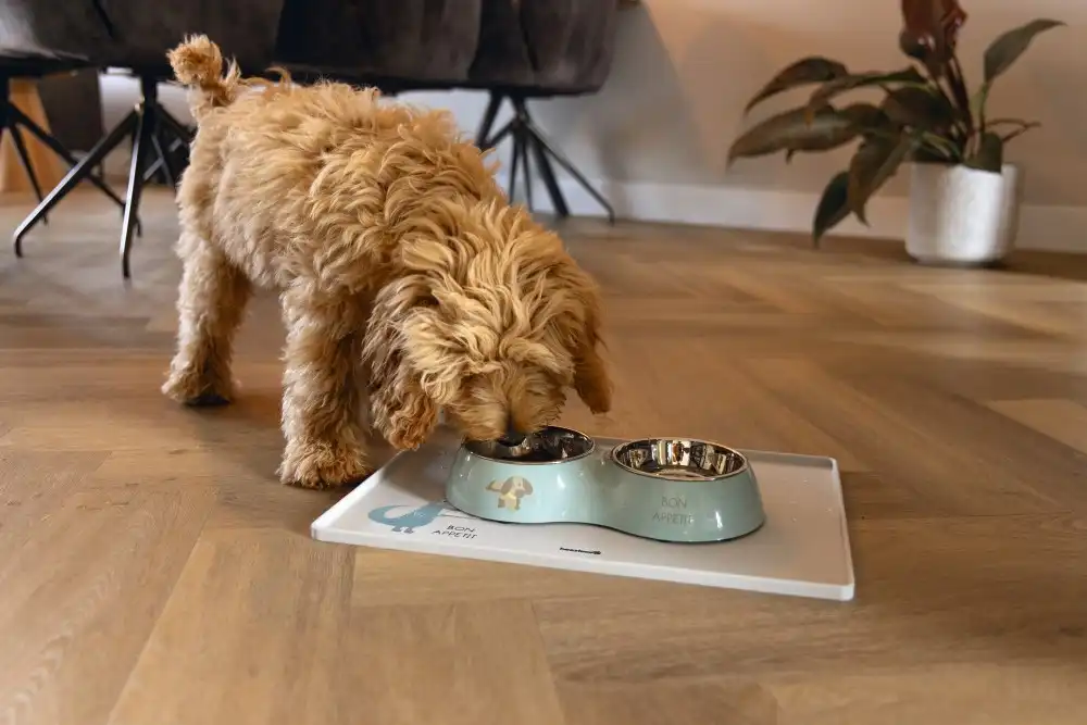 BEEZTEES двойная металлическая миска DROPPY Green 27cm