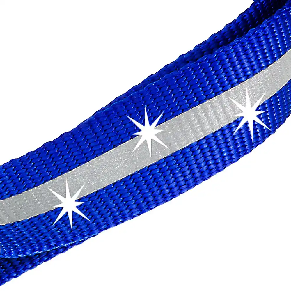 Поводок CLUB REFLEX G15/120 синий