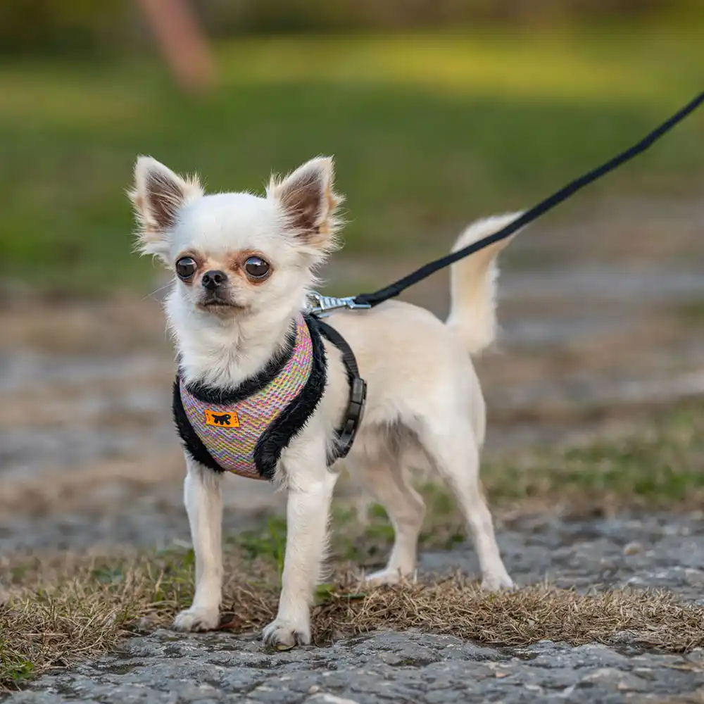 FERPLAST Ham NIKITA FUR XS COLOURS