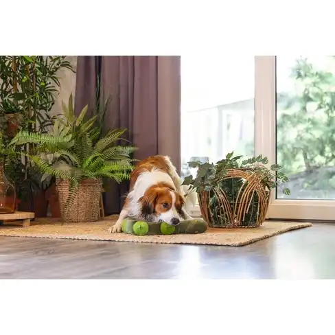 BZ jucărie din pluș pentru câini Jungle Kani